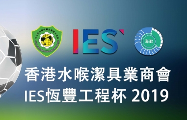 IES 恒丰工程杯2019